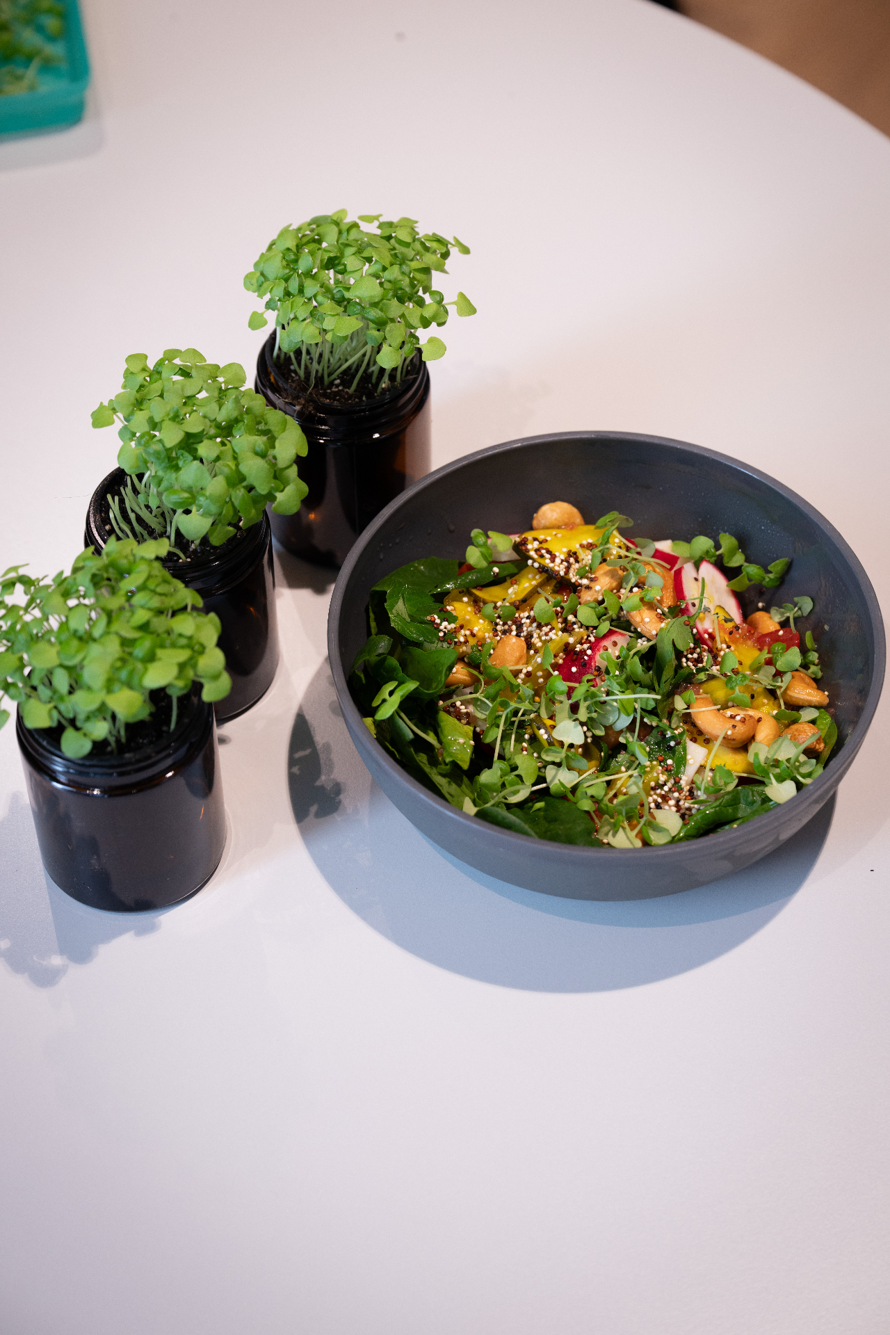 Microgreen jars beside a finished bowl