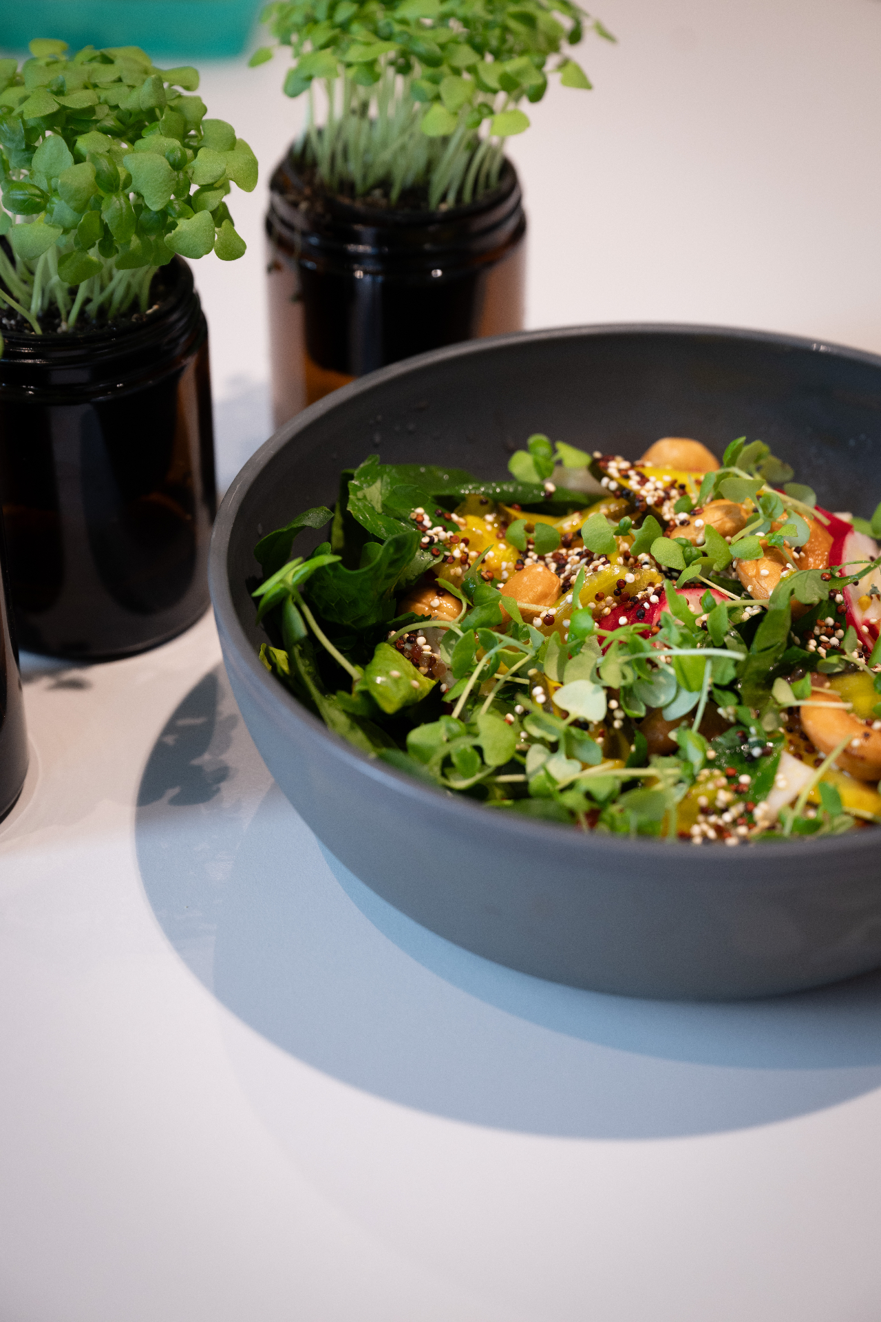 Salad bowl with microgreen jars